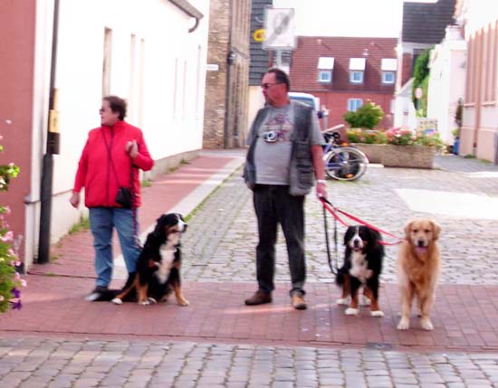 Kappeln